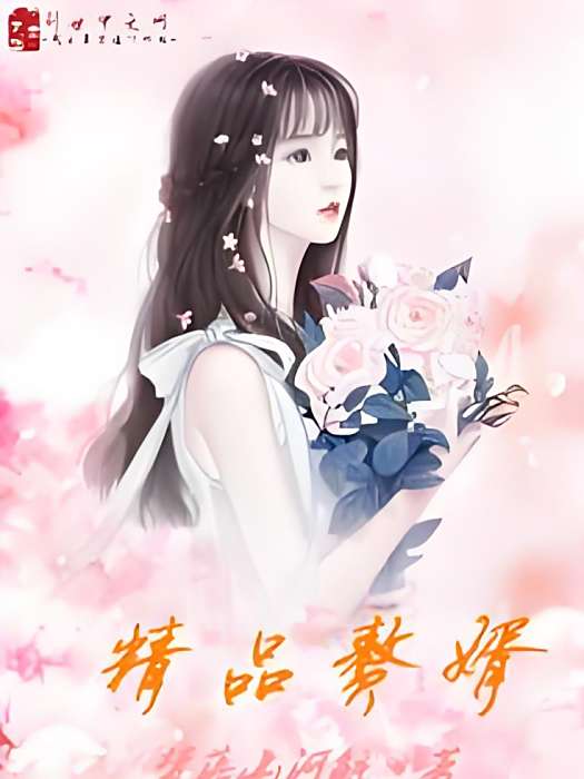 精品贅婿 精品贅婿