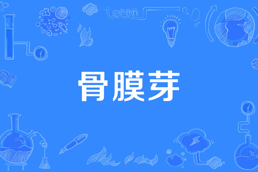 骨膜芽 骨膜芽