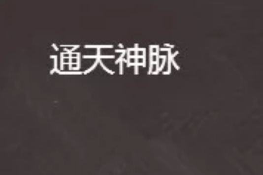通天神脈(拽牛所著玄幻網路小說) 通天神脈(拽牛所著玄幻網路小說)