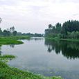 濟西濕地公園 濟西濕地公園