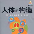 人體的構造 人體的構造