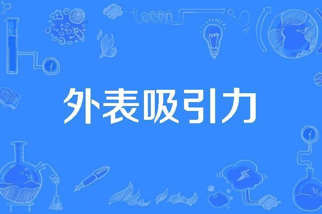 外表吸引力 外表吸引力