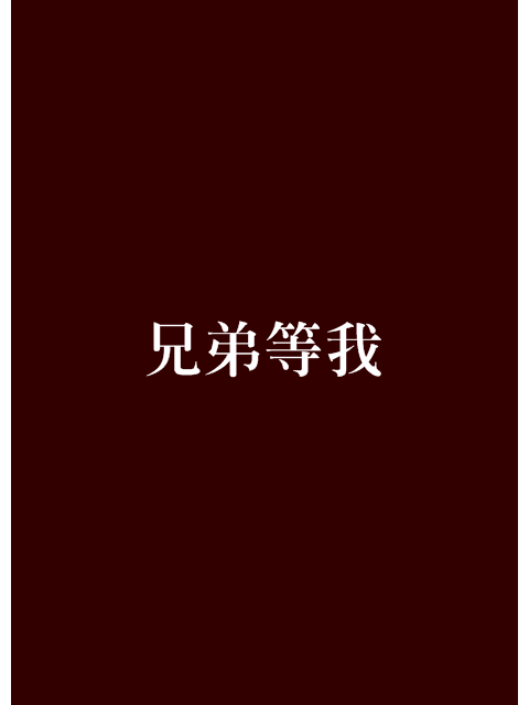 兄弟等我 兄弟等我