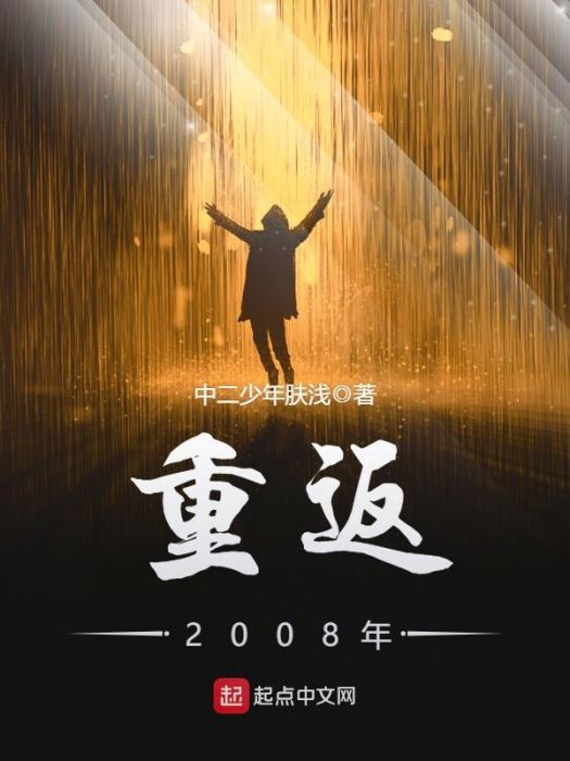重返2008年 重返2008年