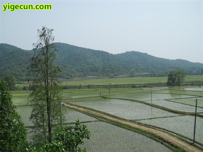 老冬村 老冬村
