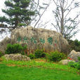 日照植物園 日照植物園