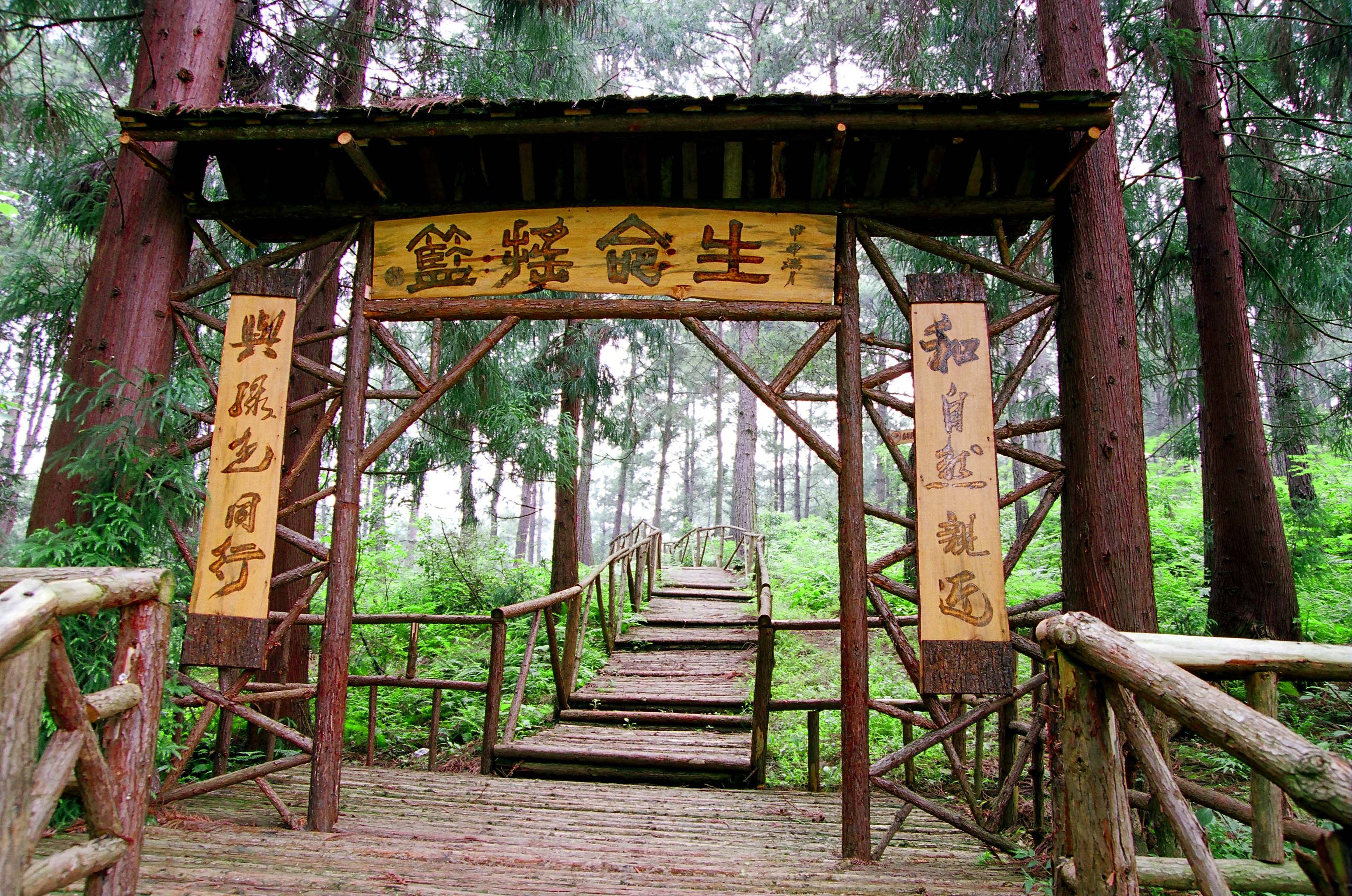 貴州九龍山國家森林公園