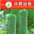 興蔬運佳 興蔬運佳
