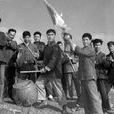 你追我趕(1958年葉明導演電影作品) 你追我趕(1958年葉明導演電影作品)