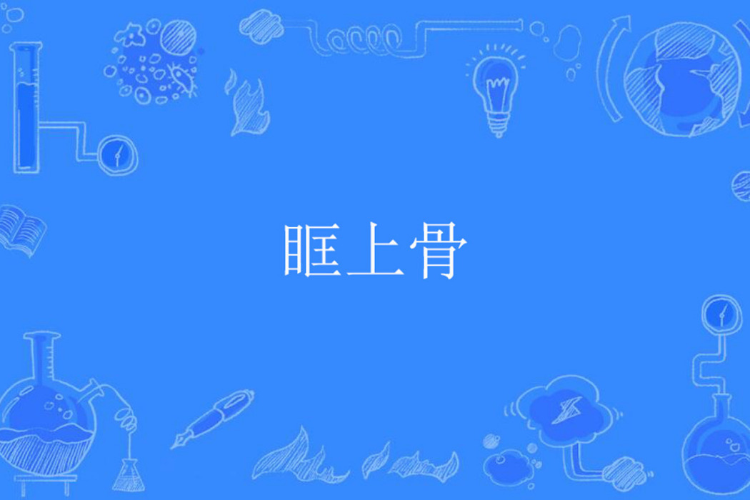 眶上骨 眶上骨
