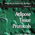 Adipose Tissue Protocols(Ailhaud, Gerard著圖書) Adipose Tissue Protocols(Ailhaud, Gerard著圖書)
