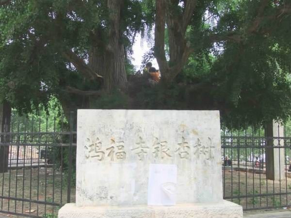 諸葛城 諸葛城