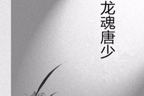 龍魂唐少 龍魂唐少