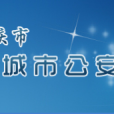 桐城市公安局 桐城市公安局