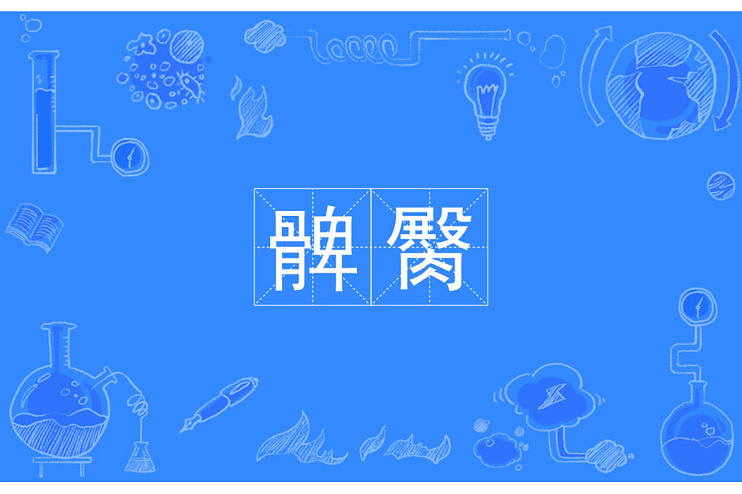 髀臋 髀臋