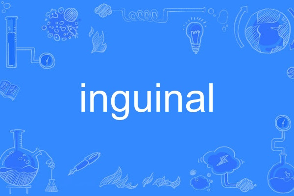 inguinal inguinal