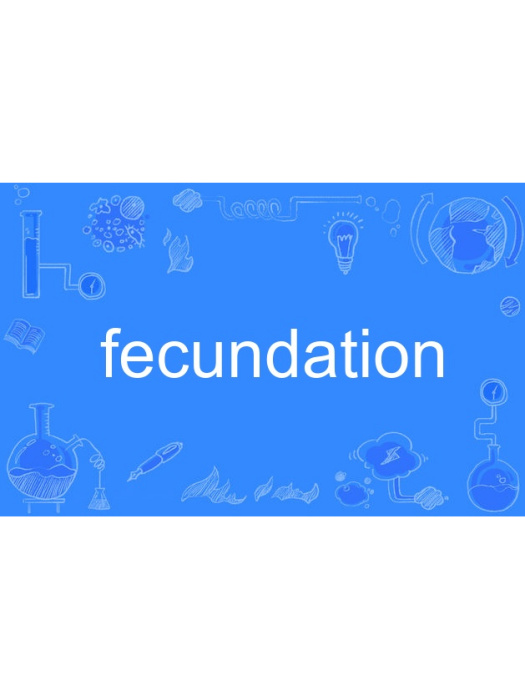 fecundation fecundation