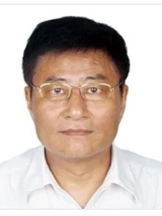 楊啟帆(浙江大學理學院數學系教授) 楊啟帆(浙江大學理學院數學系教授)