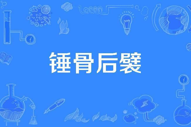 錘骨後襞 錘骨後襞