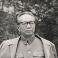 楊鴻坤 楊鴻坤