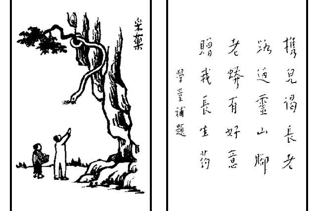 採藥(護生畫集中的文章) 採藥(護生畫集中的文章)