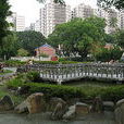 員林公園 員林公園