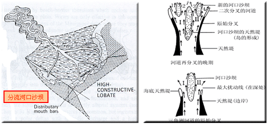 三角洲的形成和發育因素