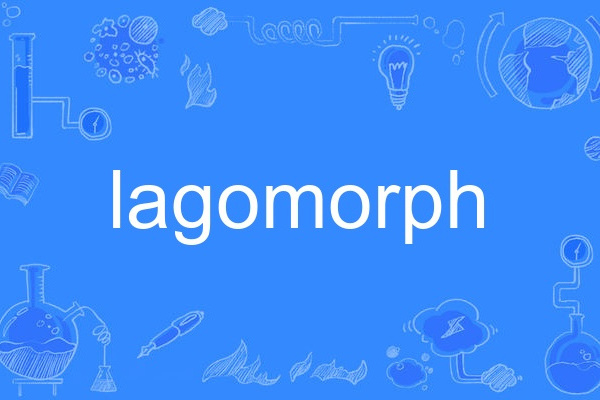 lagomorph lagomorph