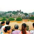 2010年長江流域大洪水