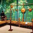 毛南族博物館(毛南族自治區，環江的毛南族博物館)