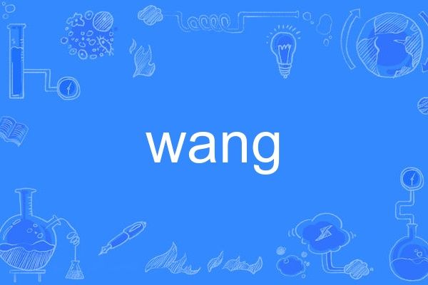 WANG(英文單詞) WANG(英文單詞)