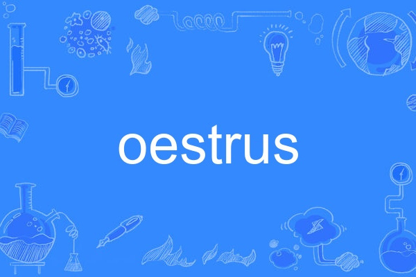 oestrus oestrus