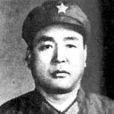 王璞(原廣州軍區空軍司令員) 王璞(原廣州軍區空軍司令員)