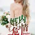 婚內危情 婚內危情