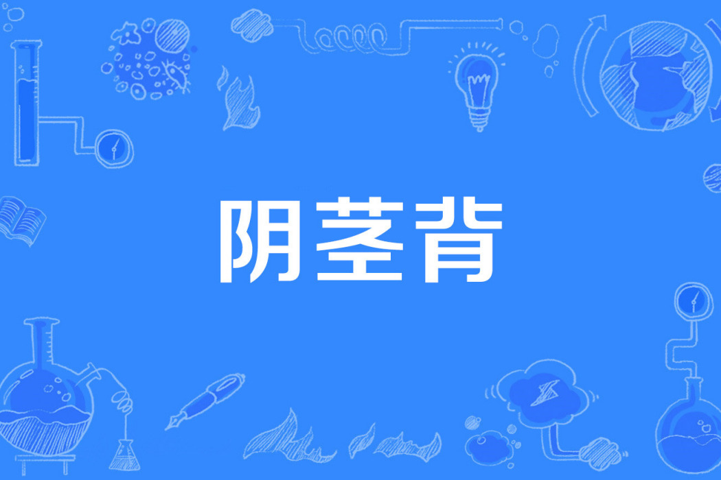 陰莖背 陰莖背