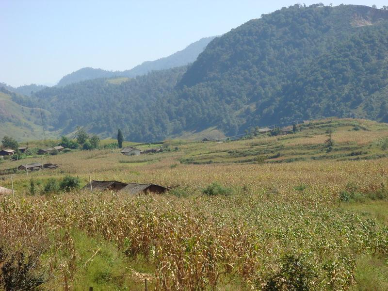 子差拉村 子差拉村