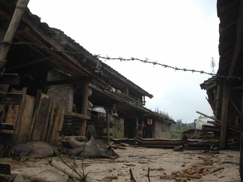 勐嶺山村 勐嶺山村