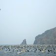 三山島(江蘇省蘇州市三山島)