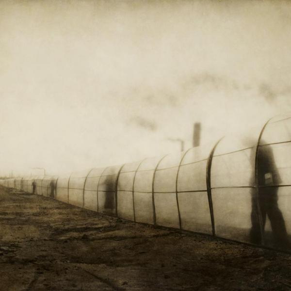 Robert and Shana ParkeHarrison