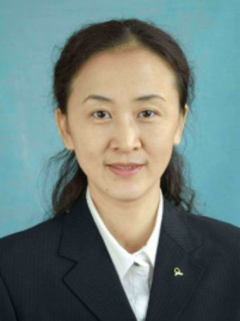 王晶(黑龍江省雞西市恆山區委副書記) 王晶(黑龍江省雞西市恆山區委副書記)
