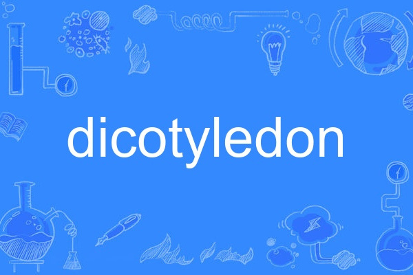 dicotyledon dicotyledon