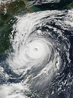 超強颱風杜鵑 衛星雲圖