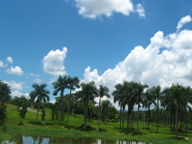 儋州熱帶植物園