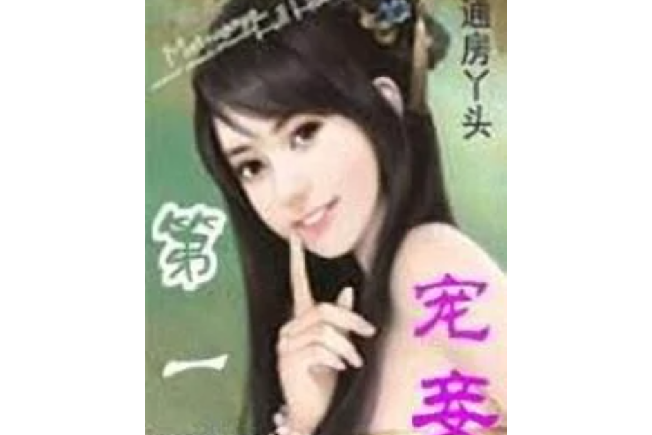 第一寵妾 第一寵妾