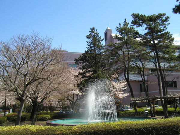 北里大學(日本北里大學)