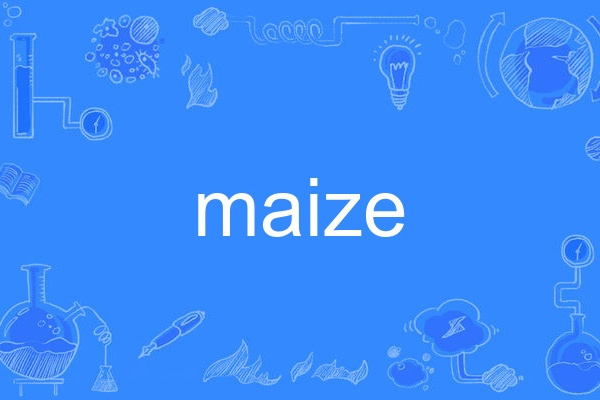 maize maize