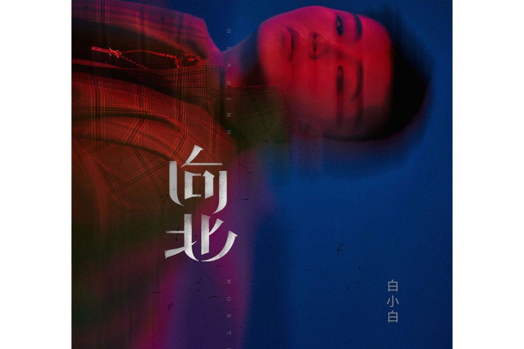 向北(白小白演唱的歌曲) 向北(白小白演唱的歌曲)