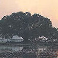 穿岩古榕