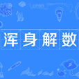 渾身解數 渾身解數