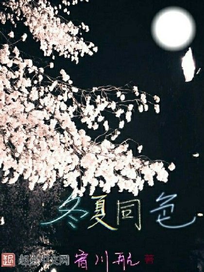冬夏同色 冬夏同色